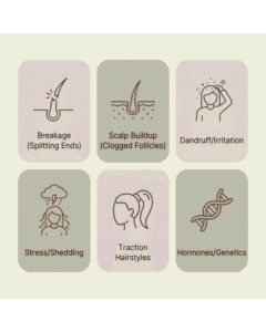 Common reasons hair appears to stop growing: breakage, buildup, stress, traction